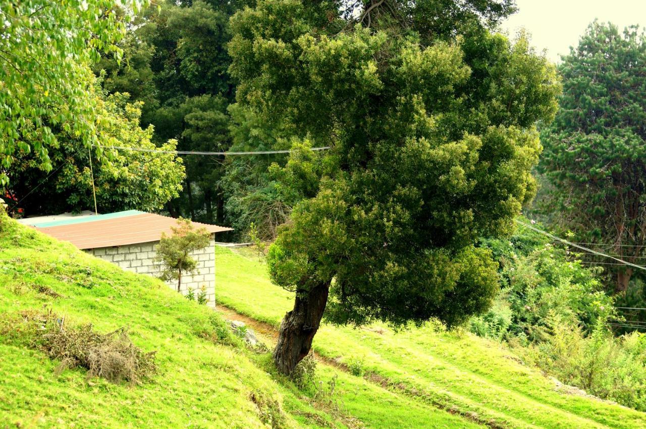 Maruti Villa Kodaikanal Ngoại thất bức ảnh